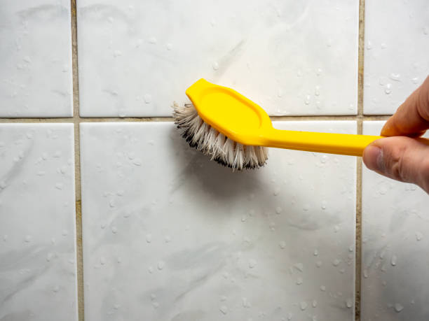 Best Black Mold Remediation in Gainesboro, TN